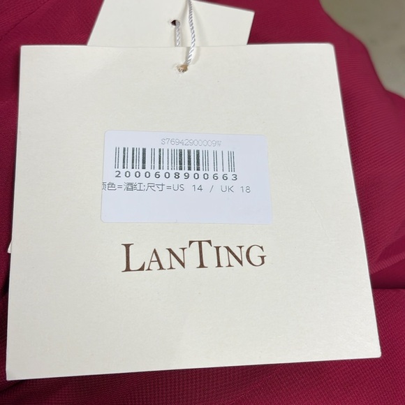 TS Couture Sheath Chiffon Sleeveless Midi Dress Size 14 NWT - Picture 12 of 15